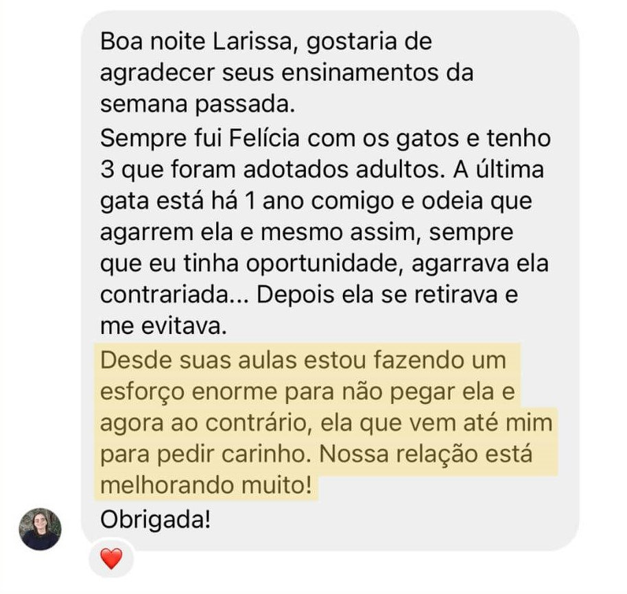 Depoimento sobre respeitar os limites da gata e melhorar a relação