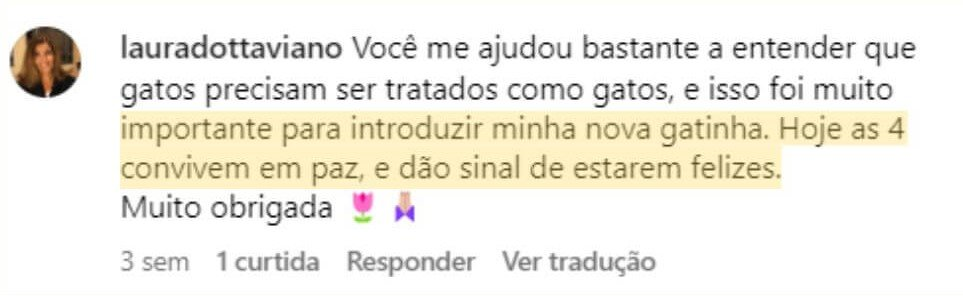 Depoimento sobre a boa convivência entre quatro gatas
