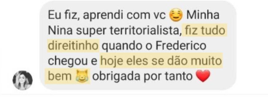 Depoimento de aluna: fiz tudo direitinho quando o Frederico chegou e hoje eles se dão muito bem